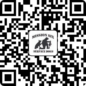Mission Six Donation